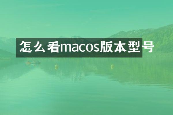 怎么看macos版本型号