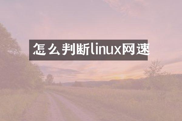 怎么判断linux网速