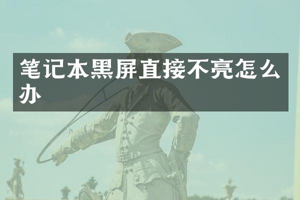 笔记本黑屏直接不亮怎么办