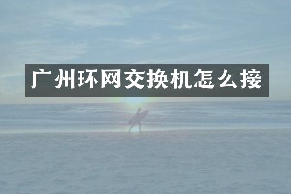 广州环网交换机怎么接