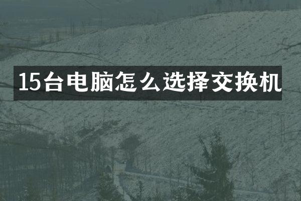 15台电脑怎么选择交换机