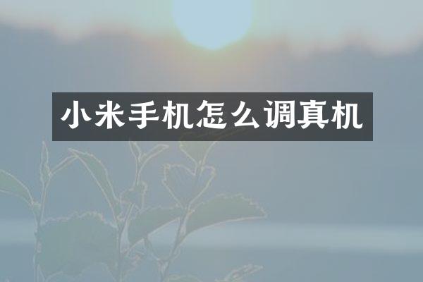 小米手机怎么调真机