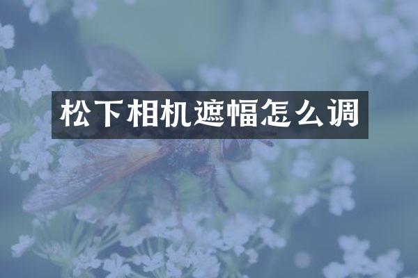 相机遮幅怎么调