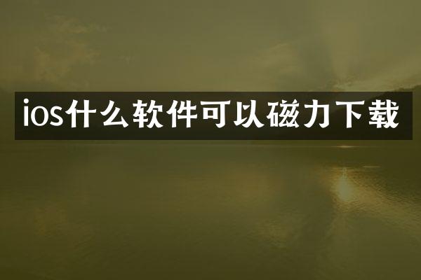 ios什么软件可以磁力下载