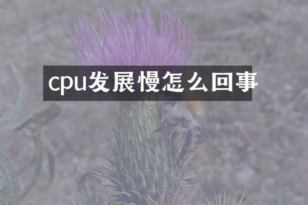 cpu发展慢怎么回事