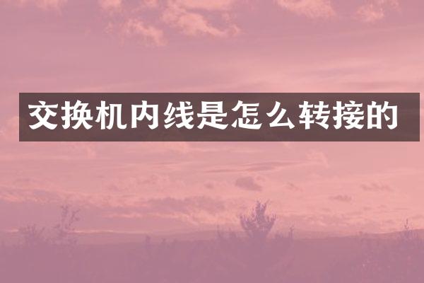 交换机内线是怎么转接的