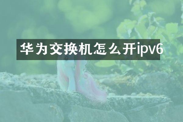华为交换机怎么开ipv6
