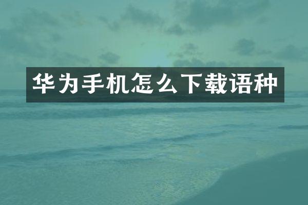 华为手机怎么下载语种