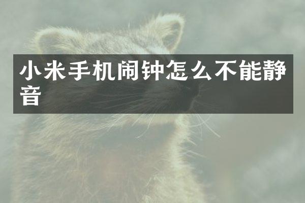 小米手机闹钟怎么不能静音