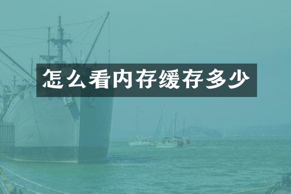 怎么看内存缓存多少