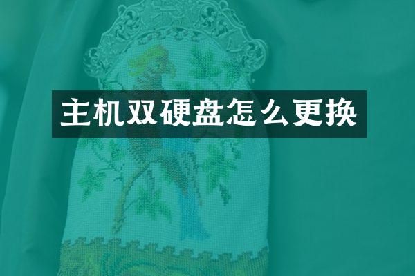 主机双硬盘怎么更换