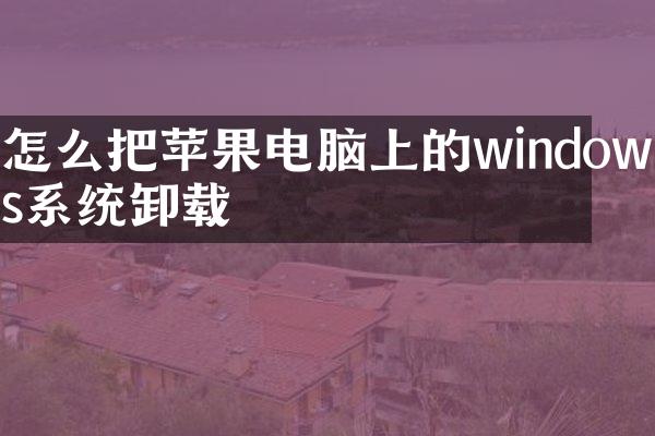 怎么把苹果电脑上的windows系统卸载