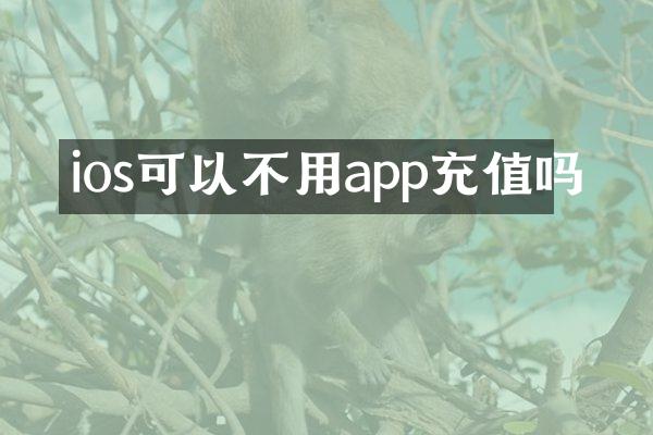 ios可以不用app充值吗