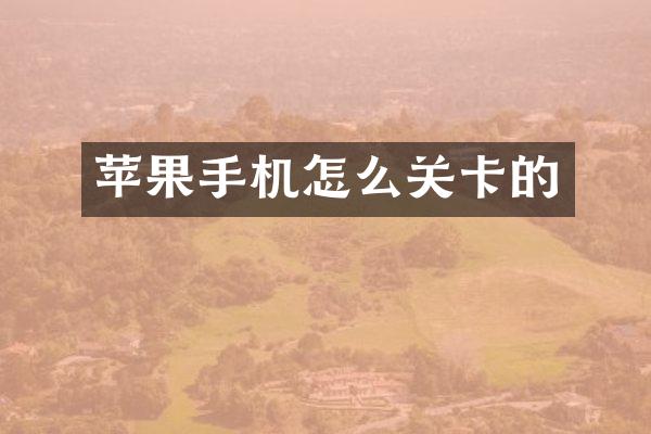 苹果手机怎么关卡的