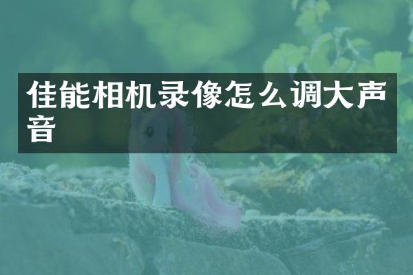 佳能相机录像怎么调大声音