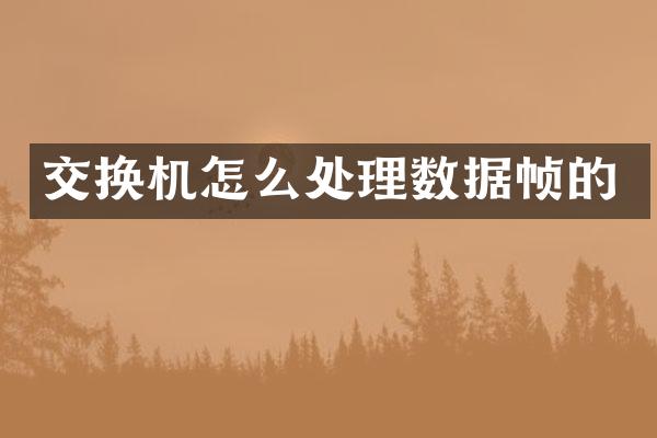交换机怎么处理数据帧的
