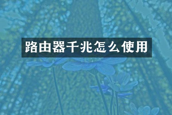 路由器千兆怎么使用