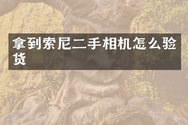 拿到二手相机怎么验货