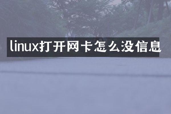 linux打开网卡怎么没信息