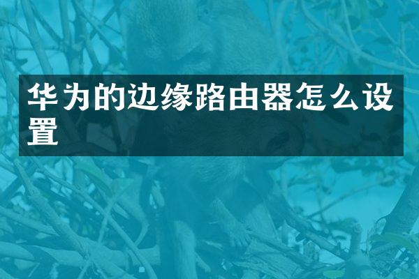 华为的边缘路由器怎么设置