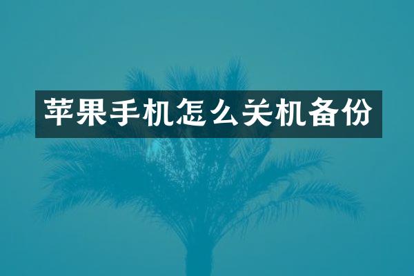 苹果手机怎么关机备份