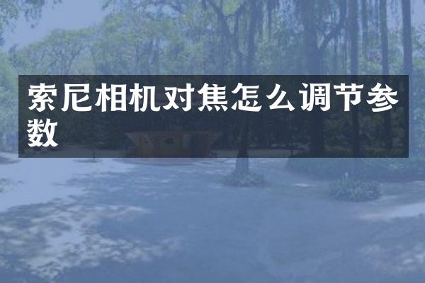 相机对焦怎么调节参数