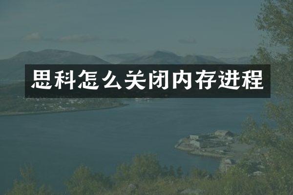 思科怎么关闭内存进程