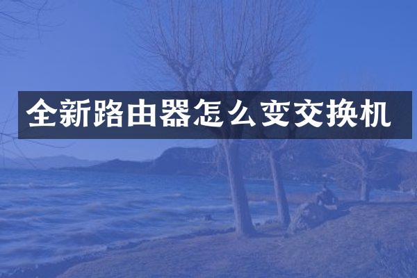 全新路由器怎么变交换机