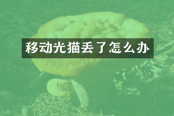 移动光猫丢了怎么办