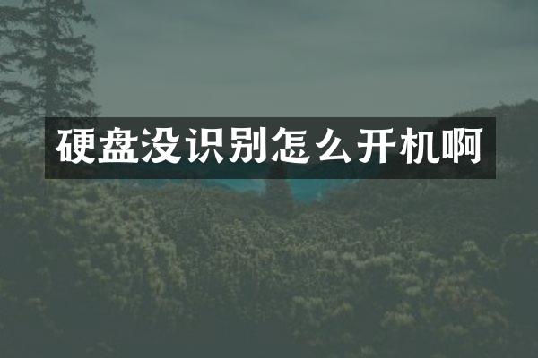 硬盘没识别怎么开机啊