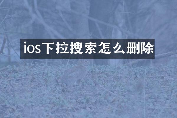 ios下拉搜索怎么删除