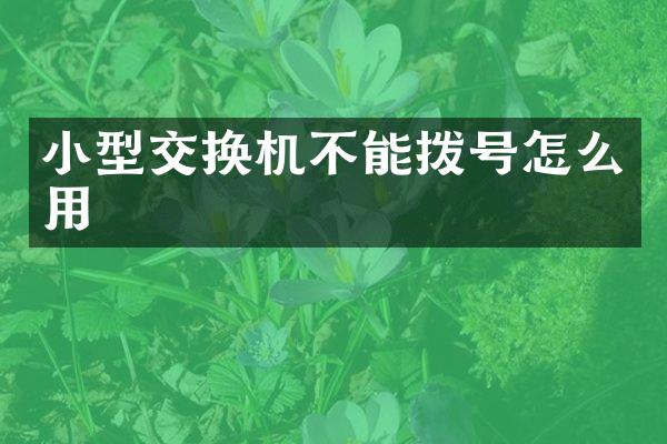 小型交换机不能拨号怎么用