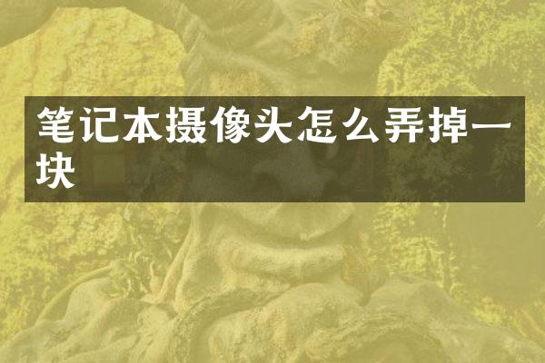 笔记本摄像头怎么弄掉一块