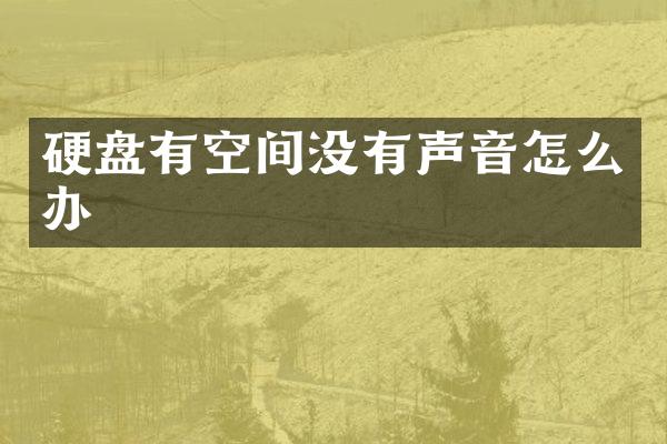 硬盘有空间没有声音怎么办