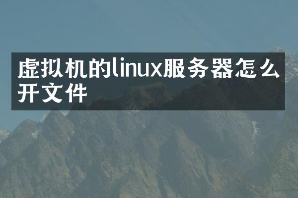 虚拟机的linux服务器怎么打开文件