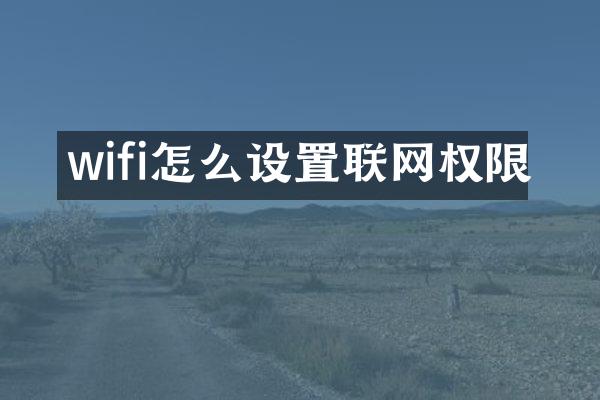 wifi怎么设置联网权限