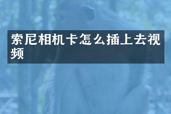 相机卡怎么插上去视频