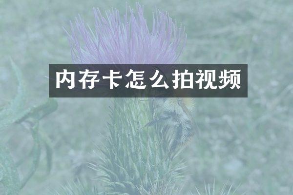 内存卡怎么拍视频