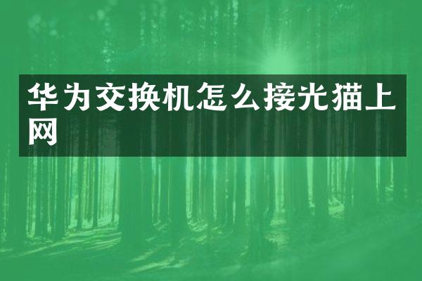 华为交换机怎么接光猫上网