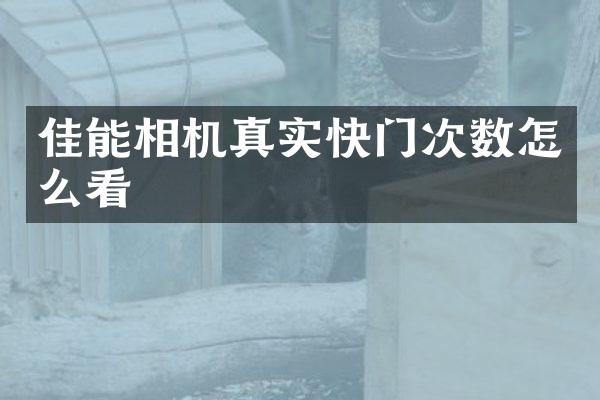 佳能相机真实快门次数怎么看