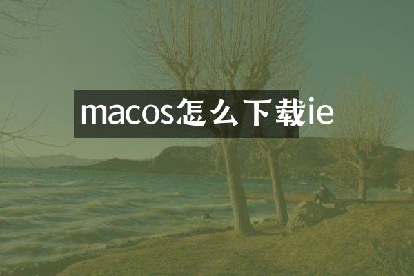 macos怎么下载ie