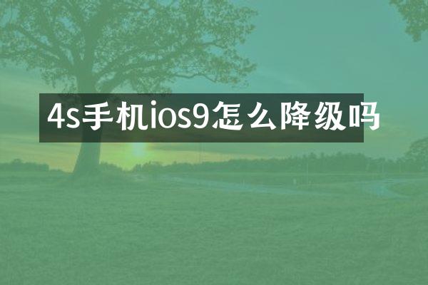 4s手机ios9怎么降级吗