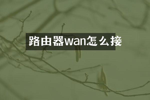 路由器wan怎么接