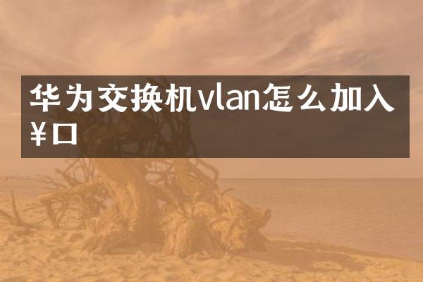 华为交换机vlan怎么加入接口