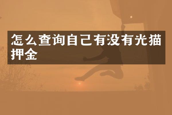 怎么查询自己有没有光猫押金