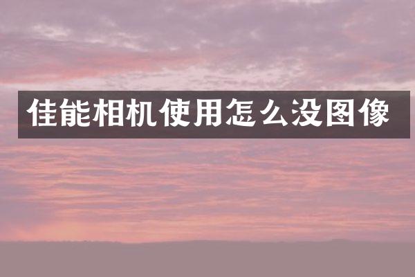 佳能相机使用怎么没图像