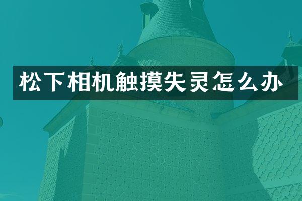 相机触摸失灵怎么办