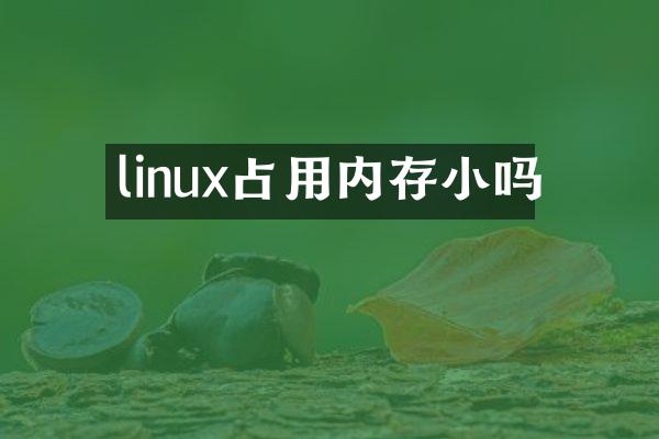 linux占用内存小吗