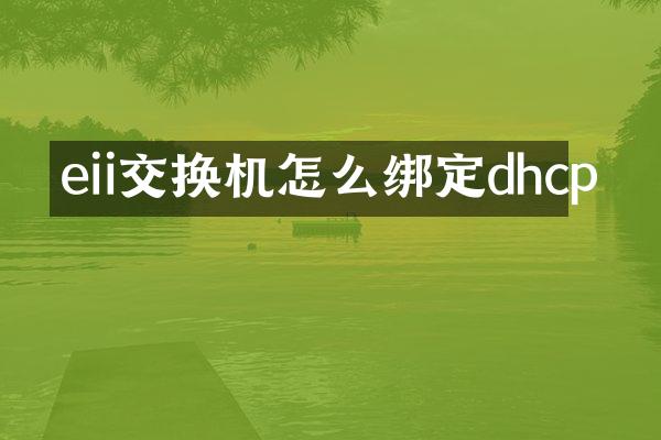 eii交换机怎么绑定dhcp