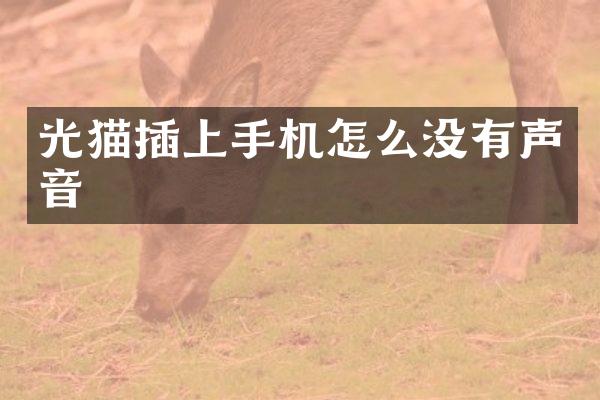 光猫插上手机怎么没有声音
